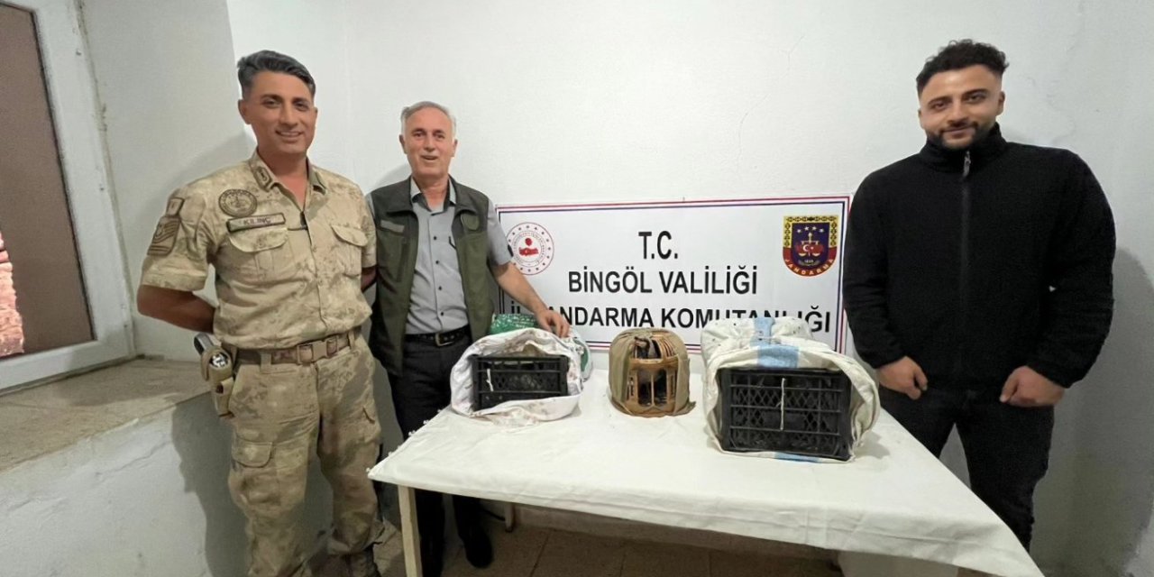 Bingöl'de Yasadışı Keklik Avına 34 Bin Tl Ceza