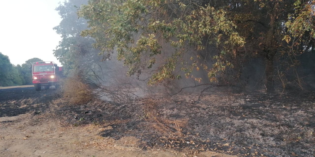 Silivri'de Ağaçlara Sıçrayan Yangın Büyümeden Söndürüldü