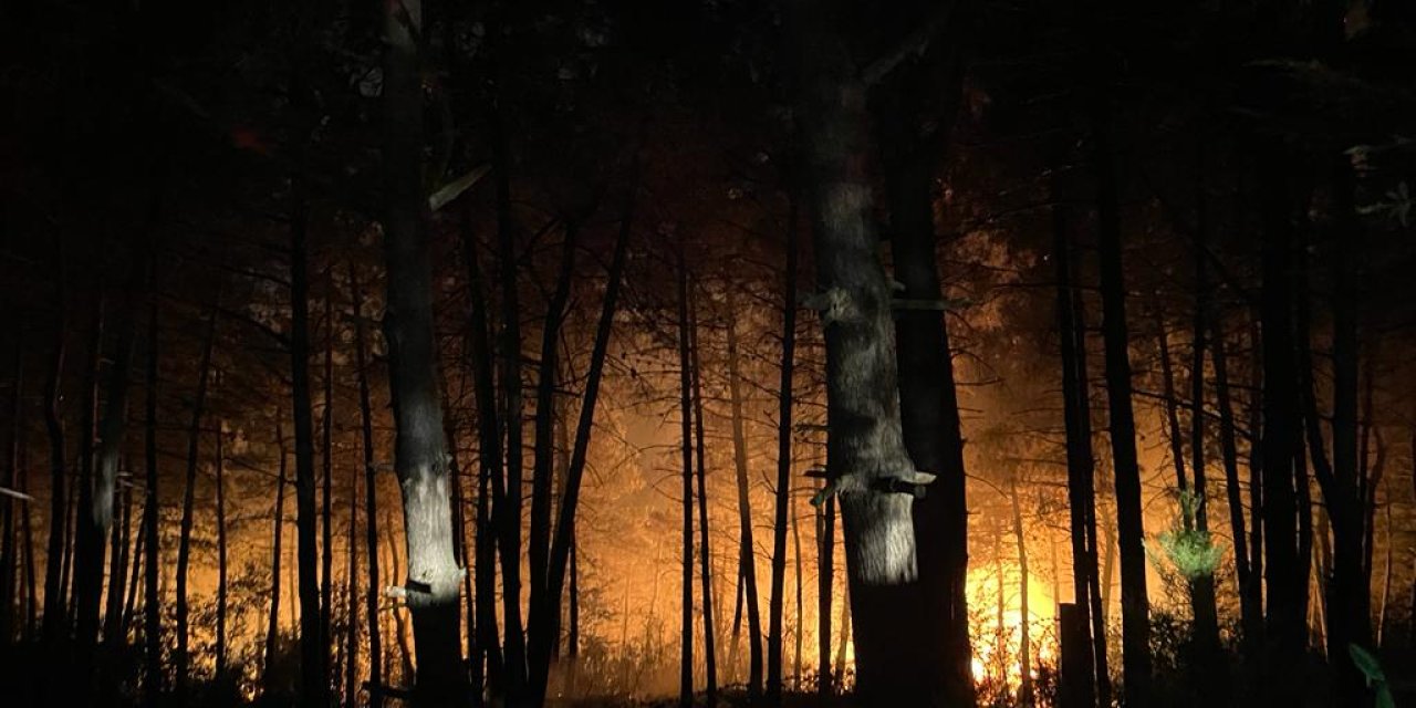 Çekmeköy'de Orman Yangını-1