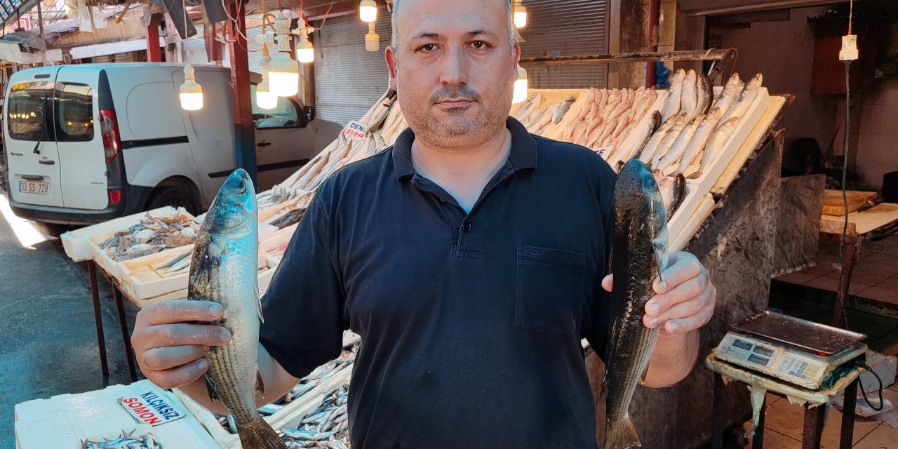 Akdeniz'de Av Yasağı Kalktı, Balık Fiyatları Yüzde 80 Düştü