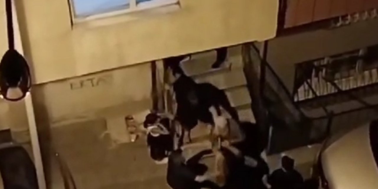 Sultangazi'de Nikah İptal Oldu; Ailelerin Kavgası Sokağa Taşındı