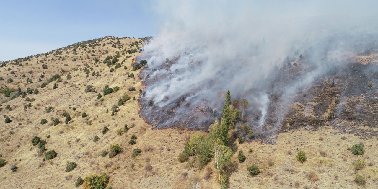Sivas'ta Otluk Ve Ağaçlık Alanda Çıkan Yangına Müdahale Ediliyor