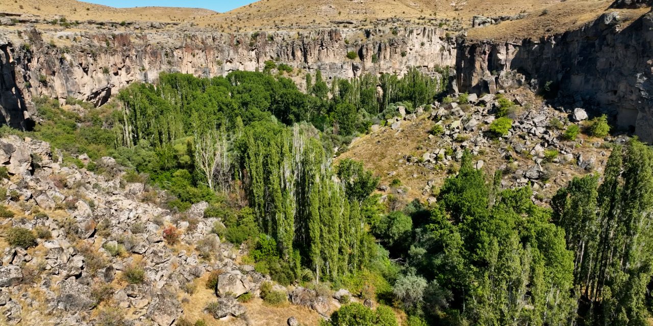 Bakan Özhaseki: Ihlara Vadisi'nde 84 Kuş, 11 Balık, 294 Böcek,  11 Sürüngen, 190 Bitki Türü Tespit Ettik