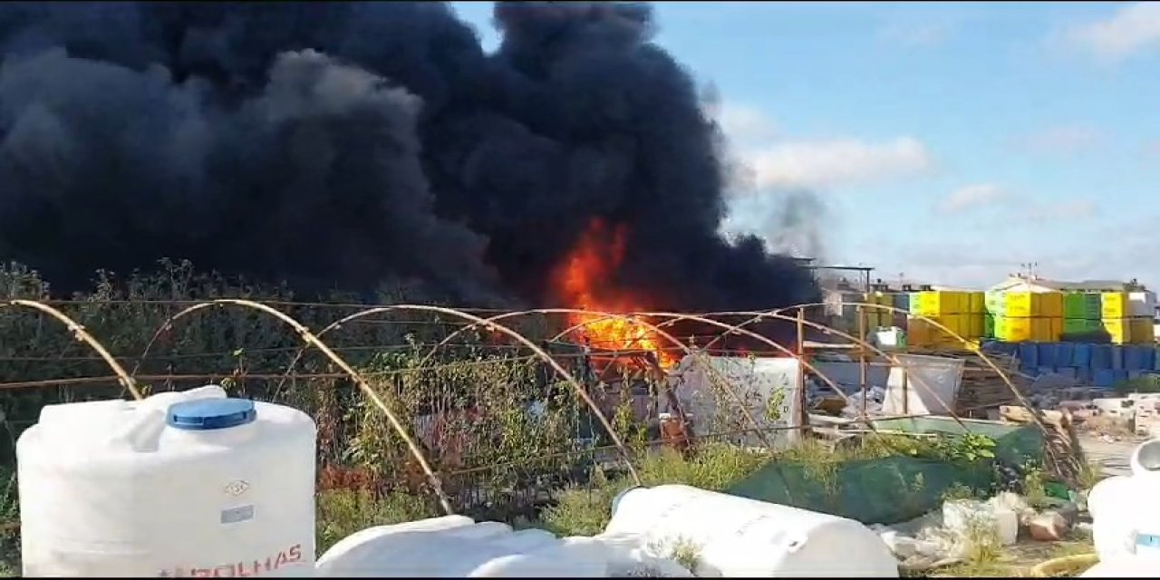 Arnavutköy'de Yangın - 1