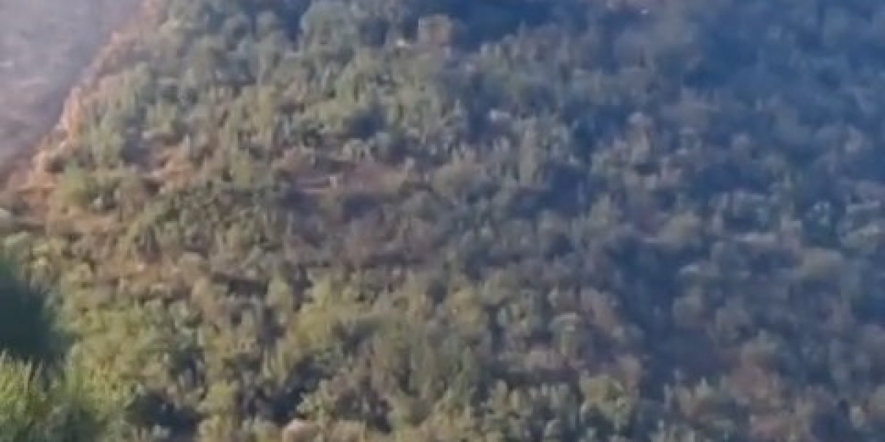 Sultangazi'de Orman Yangını - 1
