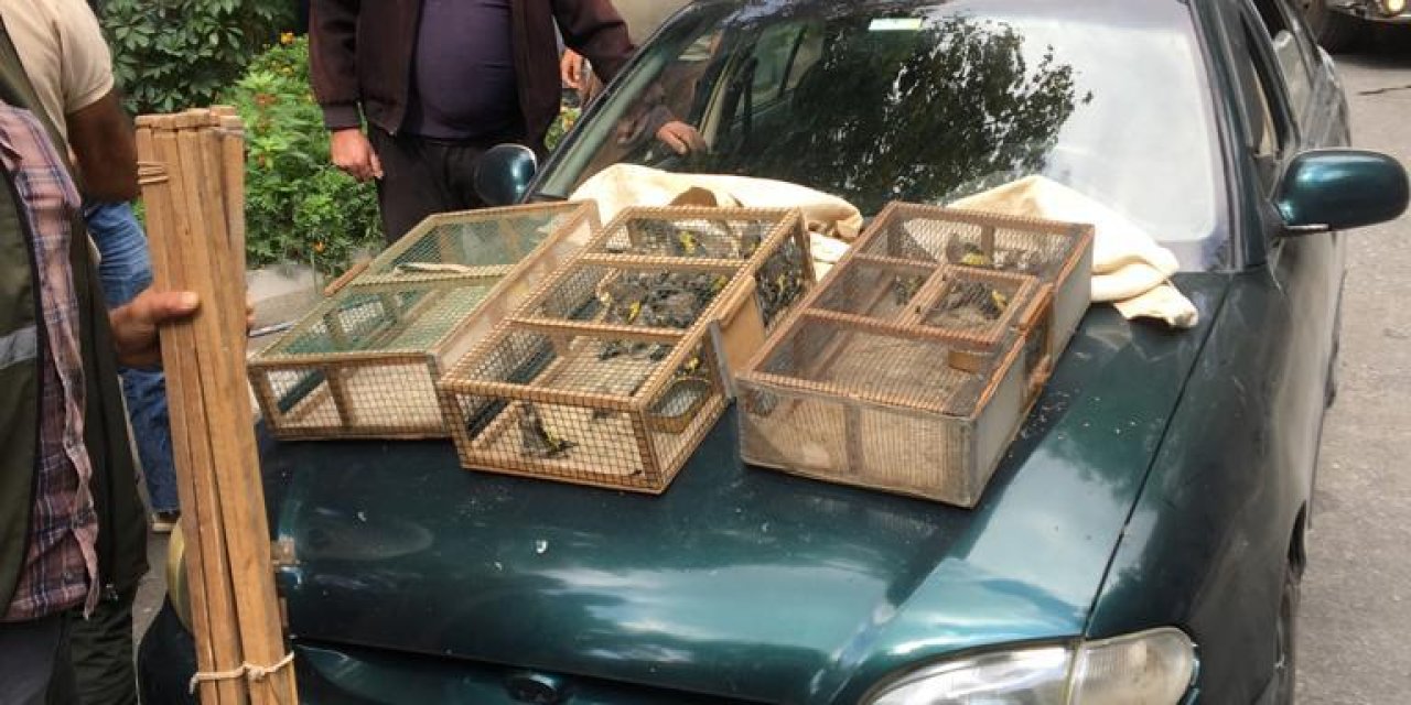 30 Saka Kuşu Avına 73 Bin Lira Ceza