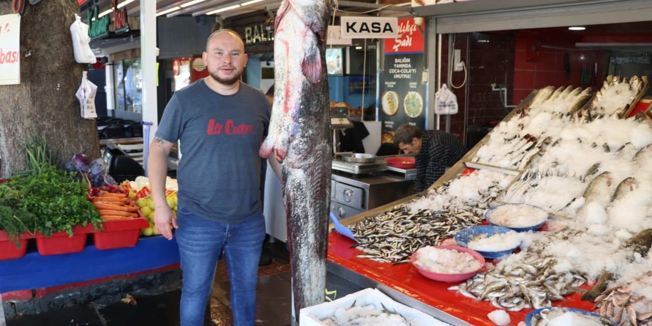 Yeşilırmak'ta Yakalanan 1 Metre 70 Santimlik Yayın Balığı, Satışa Çıkarıldı