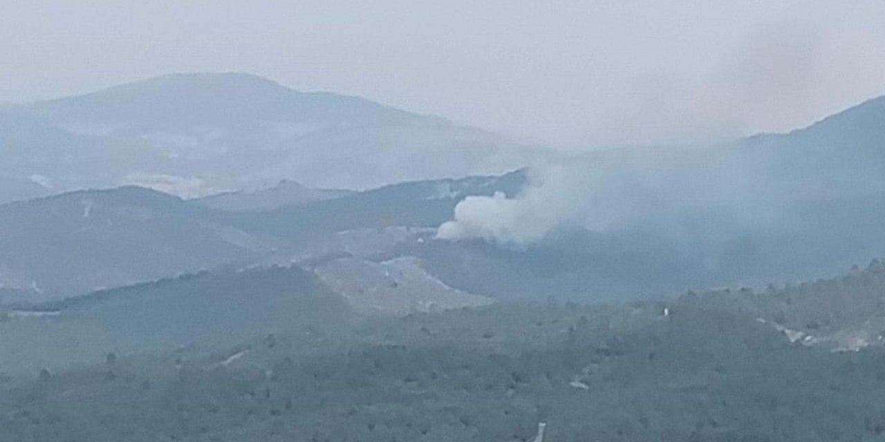 Manisa'da Orman Yangını