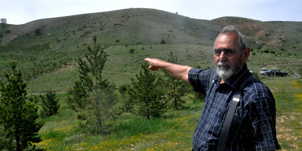 12 Bin Fidan Diktiği Ormanda Çıkan Yangında Ölmüştü, Toprağa Verildi