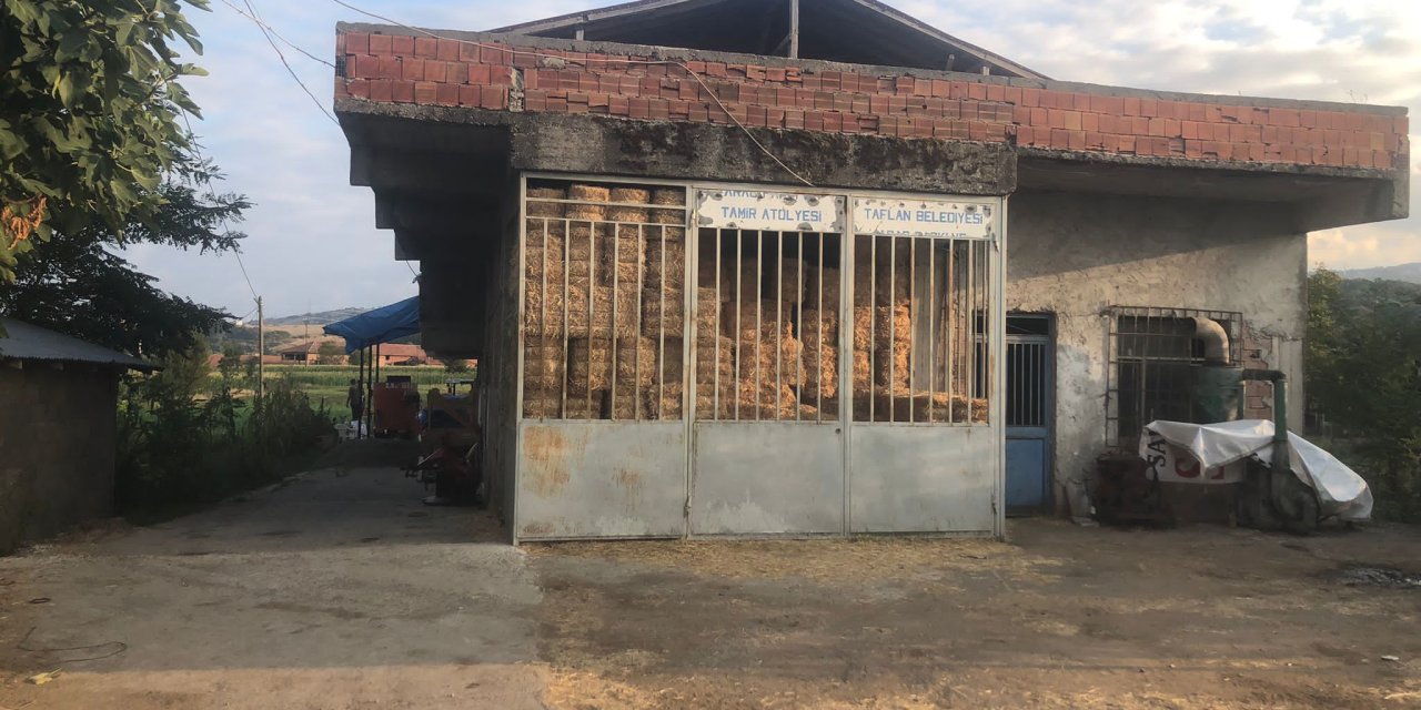 Miras Kavgasında Ateş Ettiği Kuzeni Kaçınca Ahırdaki 4 Büyükbaşı Öldürdü