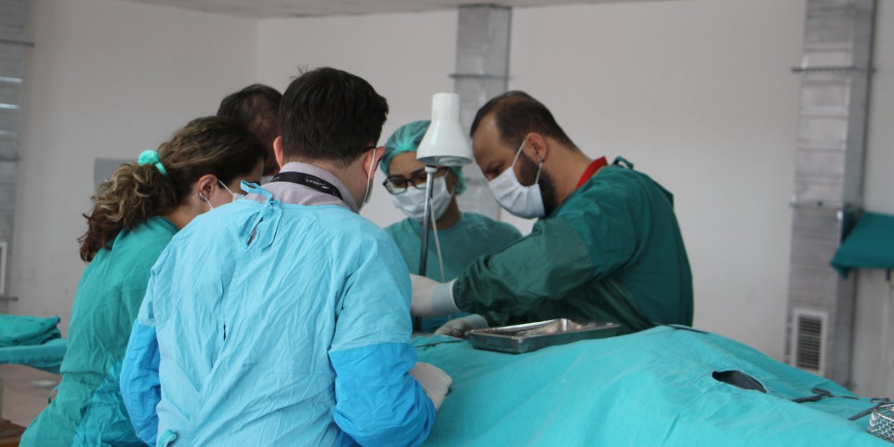 Bilim İçin 'Kadavra Gönüllüsü' Aranıyor