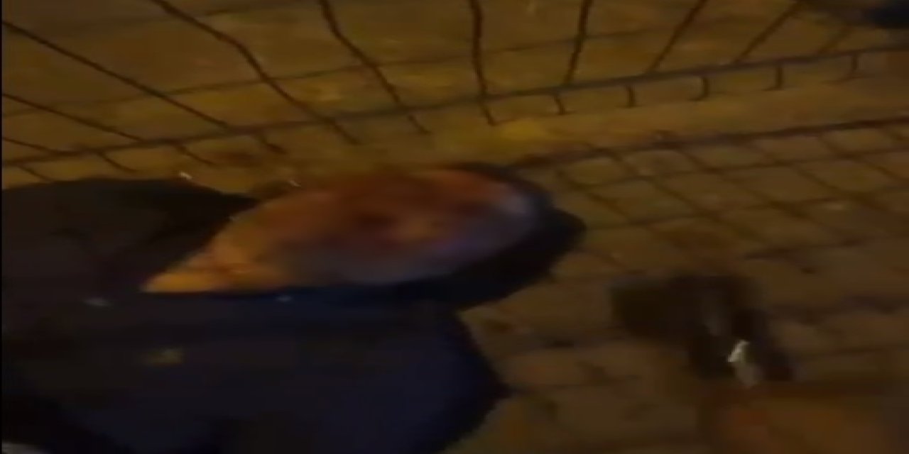 Öldürdüğü Gece Kulübü Sahibini Darbettiği Anları Sosyal Medyadan Yayınlamış