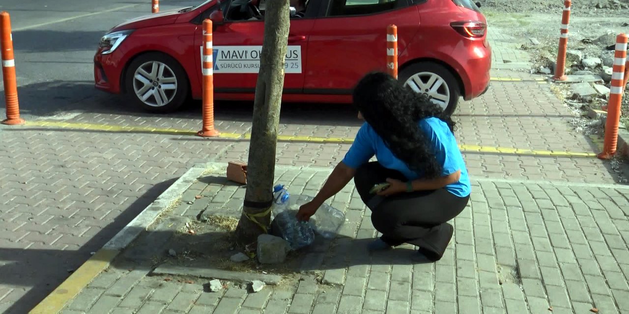 Avcılar'da Sokak Hayvanları Kesici Aletle Öldürüldü