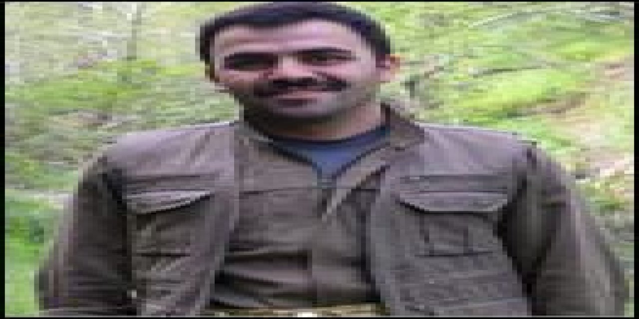 Mit, Avrupa'dan Pkk'ya Katılan Teröristi Etkisiz Hale Getirdi