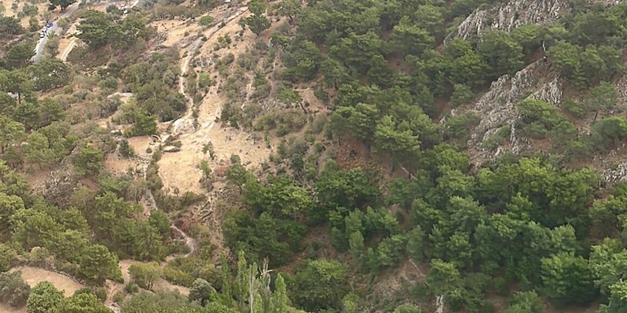 Bergama'da Orman Yangını, 2 Saatte Söndürüldü