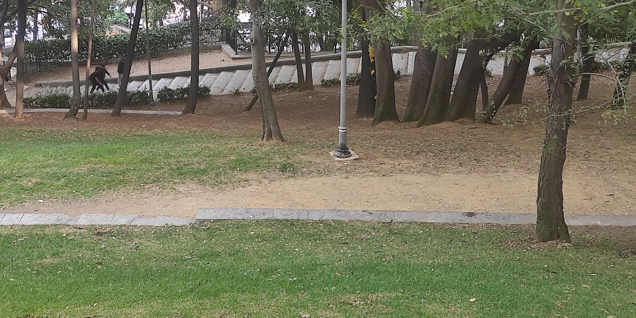 (Ek Fotoğraflarla)-tiyatro Ve Dizi Oyuncusu Seda Fettahoğlu Parkta Ölü Bulundu