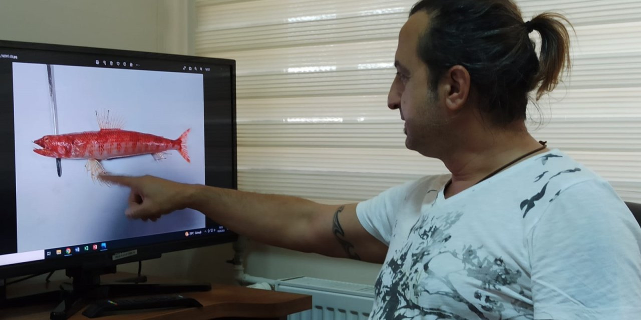 Kızıldeniz'de Yaşayan Balık Türü İlk Kez Akdeniz'de Görüldü