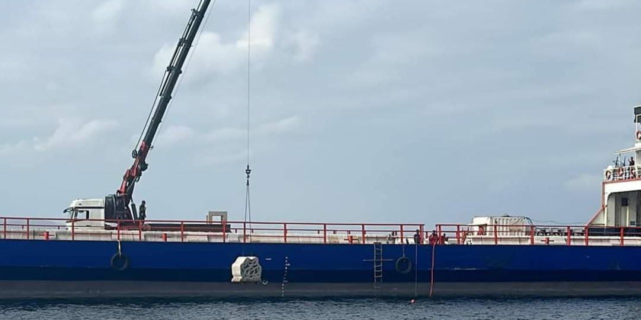 Marmara Denizi'ndeki Canlı Çeşitliliği Yapay Resiflerle Artırılacak