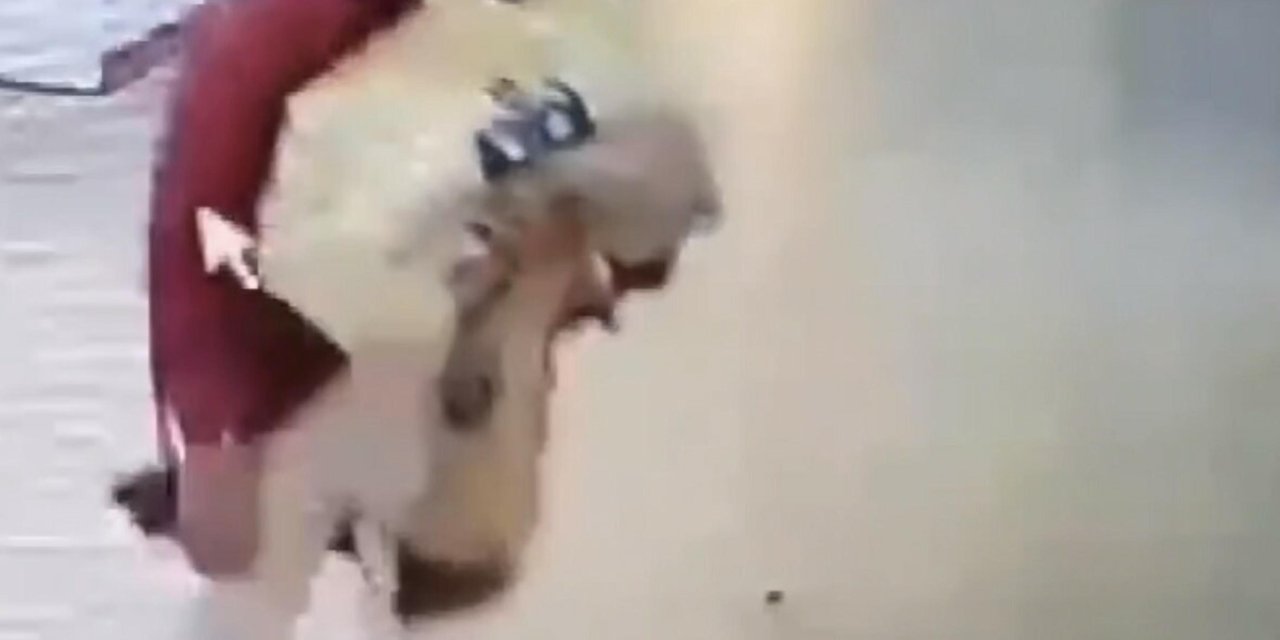 Hastaneden 3 Günlük Bebeği Kaçıran Kadın Adliyede