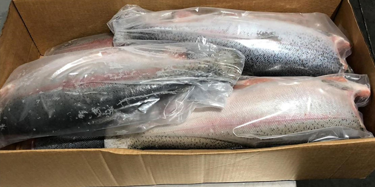 Doğu Karadeniz'in su ürünleri ihracat geliri 8 ayda yüzde 50 arttı