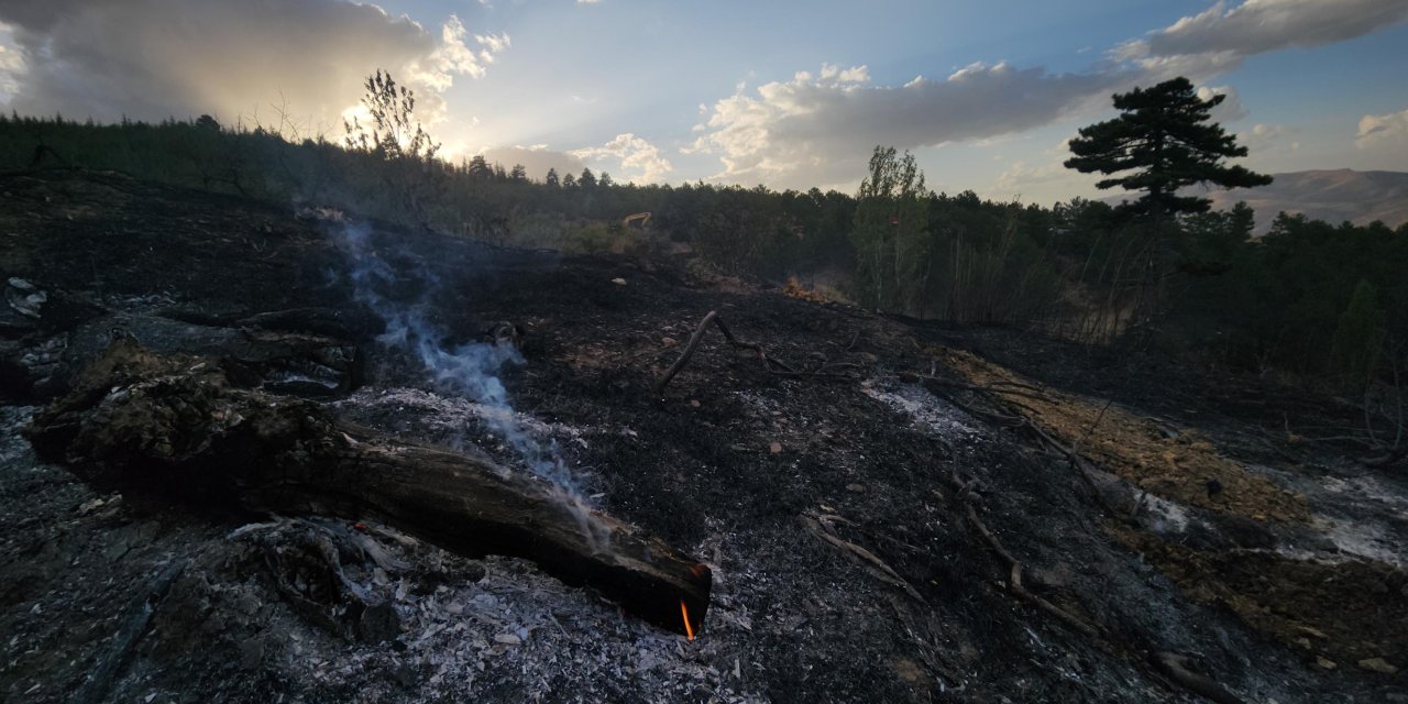 Konya'da Orman Yangını (2)