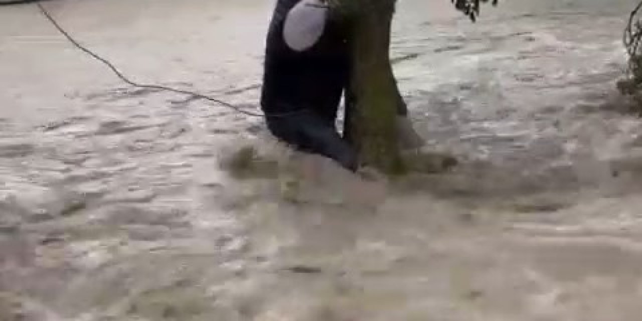 Ağaca Sarılarak Hayata Tutundu