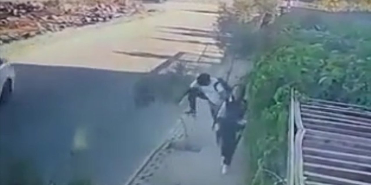 Yüzünü Çarptığı Zeytin Fidanının Dalını Kırdı