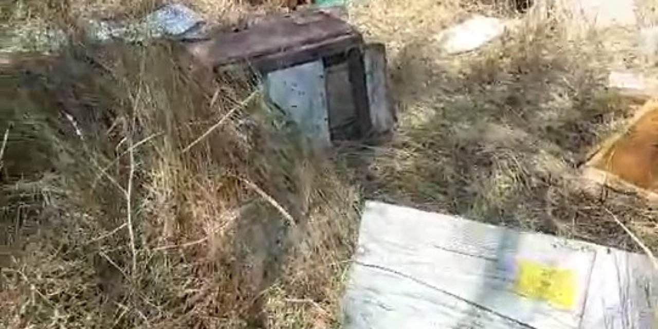 Mahalleye İnen Ayılar, Arı Kovanlarını Parçaladı