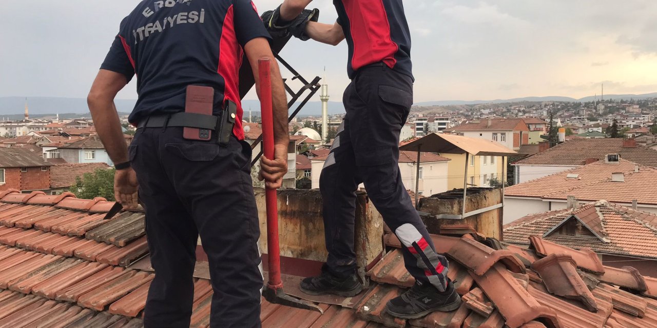Tokat'ta Baca Deliğine Düşen Yavru Kediyi İtfaiye Kurtardı