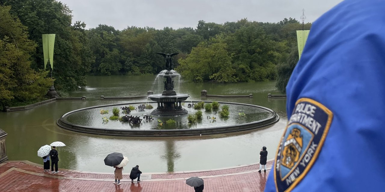 Bir Deniz Aslanı, Central Park’taki Su Baskınında Kaçtı