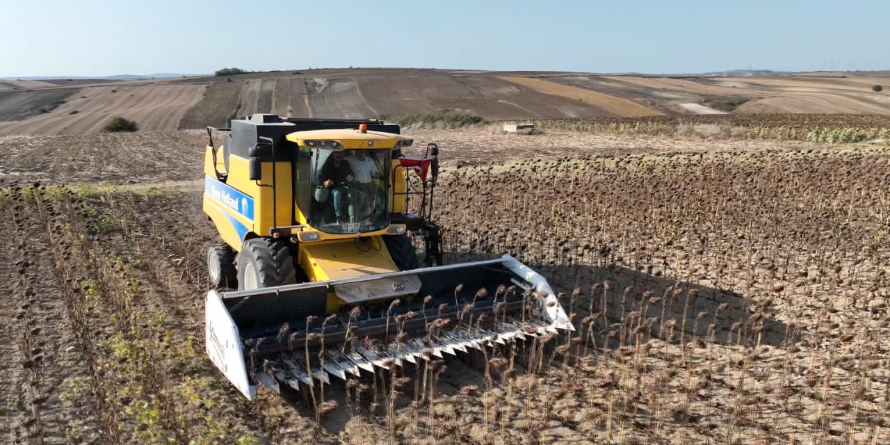 Çatalca’da Ayçiçek Hasadı Yapıldı