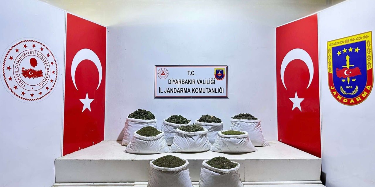 Diyarbakır’da 350 Bin 620 Kök Hint Keneviri Ve Skunk Bitkisi, 121 Kilo Esrar Ele Geçirildi