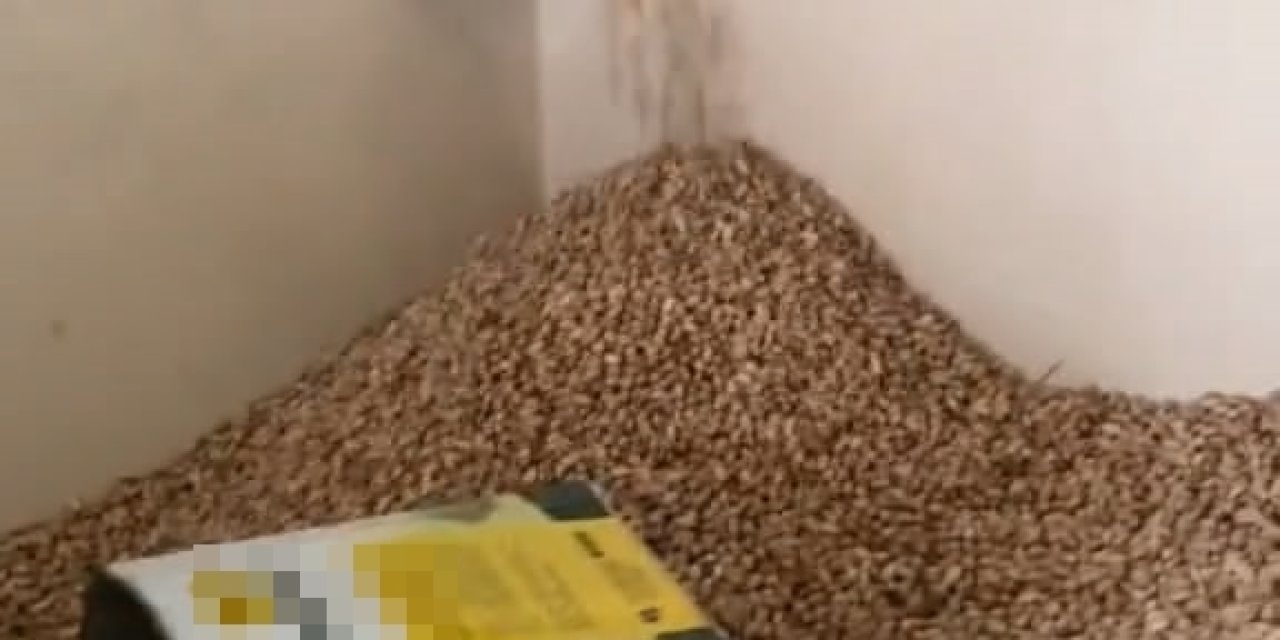 Fıstık Deposundaki Görüntülere Tepki