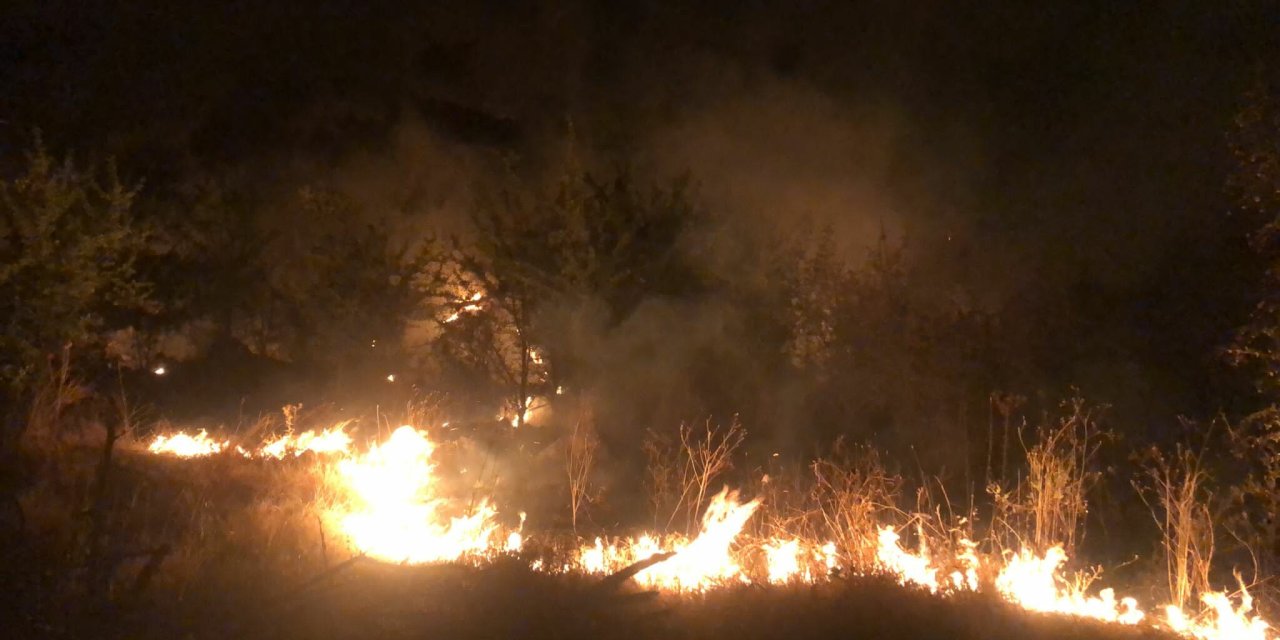 Manisa'da Çıkan Orman Yangını 2 Saatte Kontrol Altına Alındı