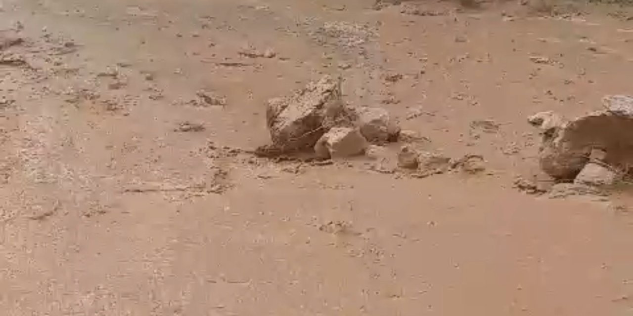 Elazığ'da Dolu Yağışı; Üzüm Bağları Zarar Gördü