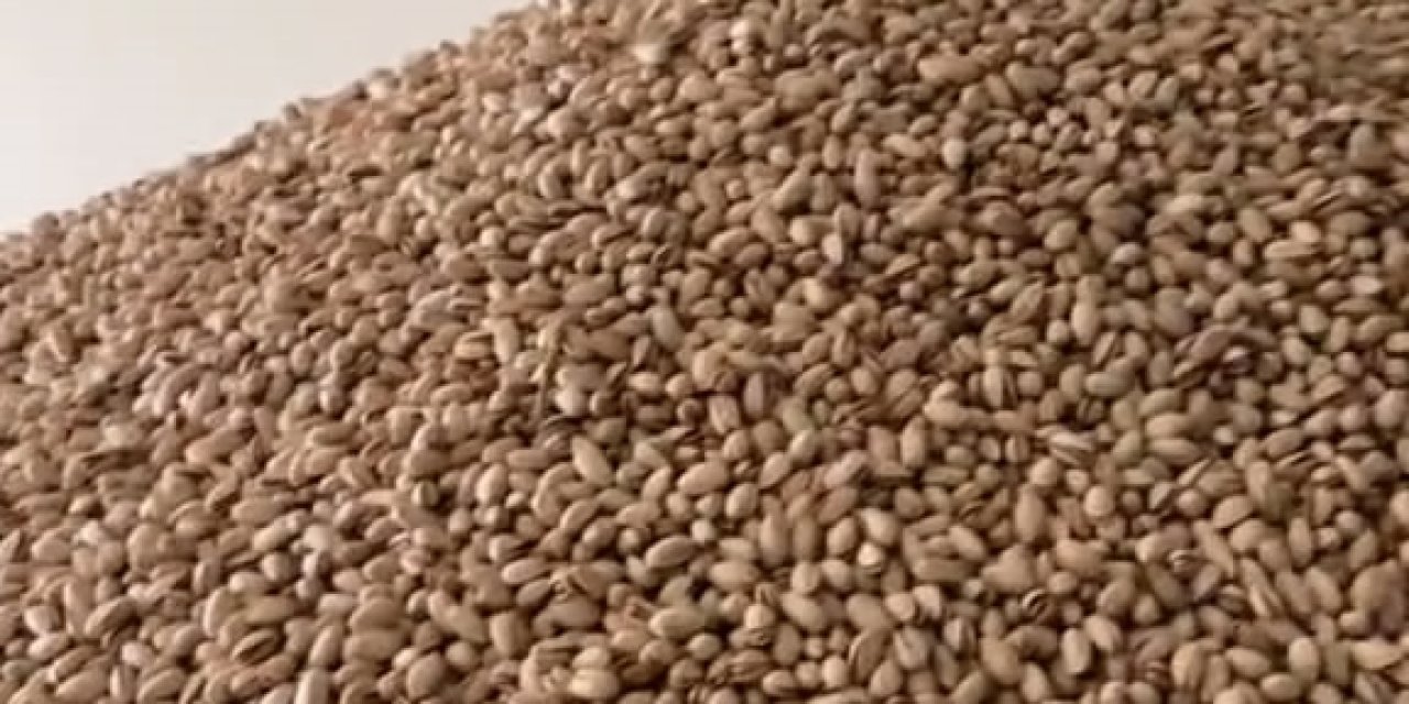 Tepki Çeken Görüntüler Sonrası 2 Ton Fıstığa El Konuldu