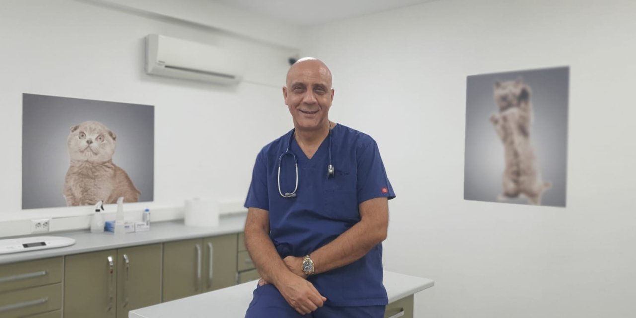 Obezite Ve Kanserdeki Artış, İnsanlar Kadar Hayvanları Da Etkiliyor