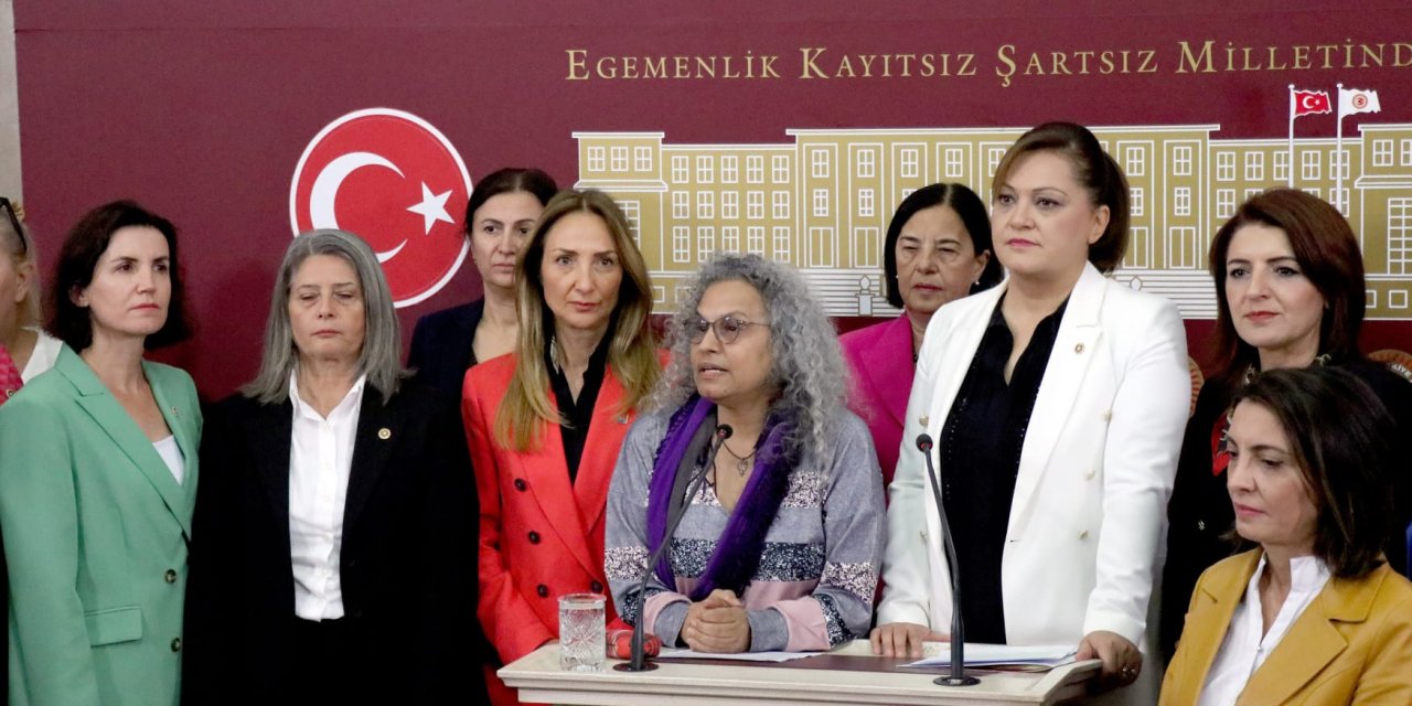 Muhalefet Partili Kadın Vekillerden 'Kadına Karşı Şiddetle Mücadele' İçin Ortak Basın Toplantısı
