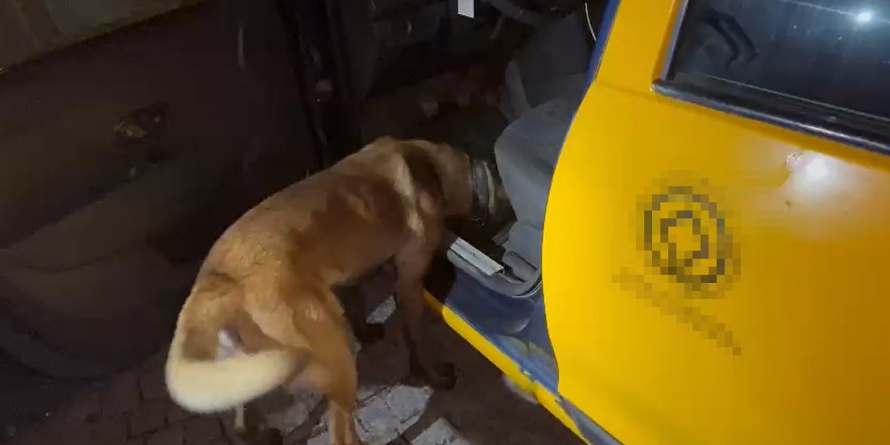 Taksiye Gizlenen Uyuşturucuyu Narkotik Köpeği 'Thor' Buldu