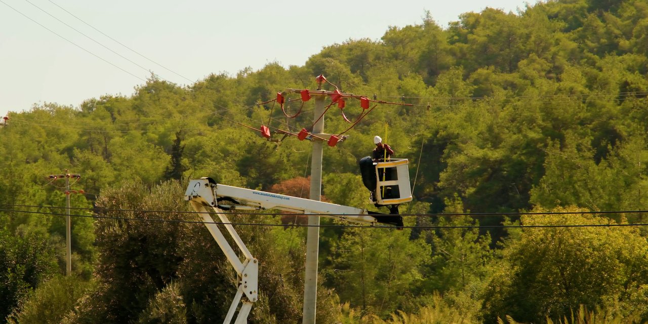 Toroslar Edaş Göçmen Kuşları Yalıtımlı Hatlarıyla Koruyor