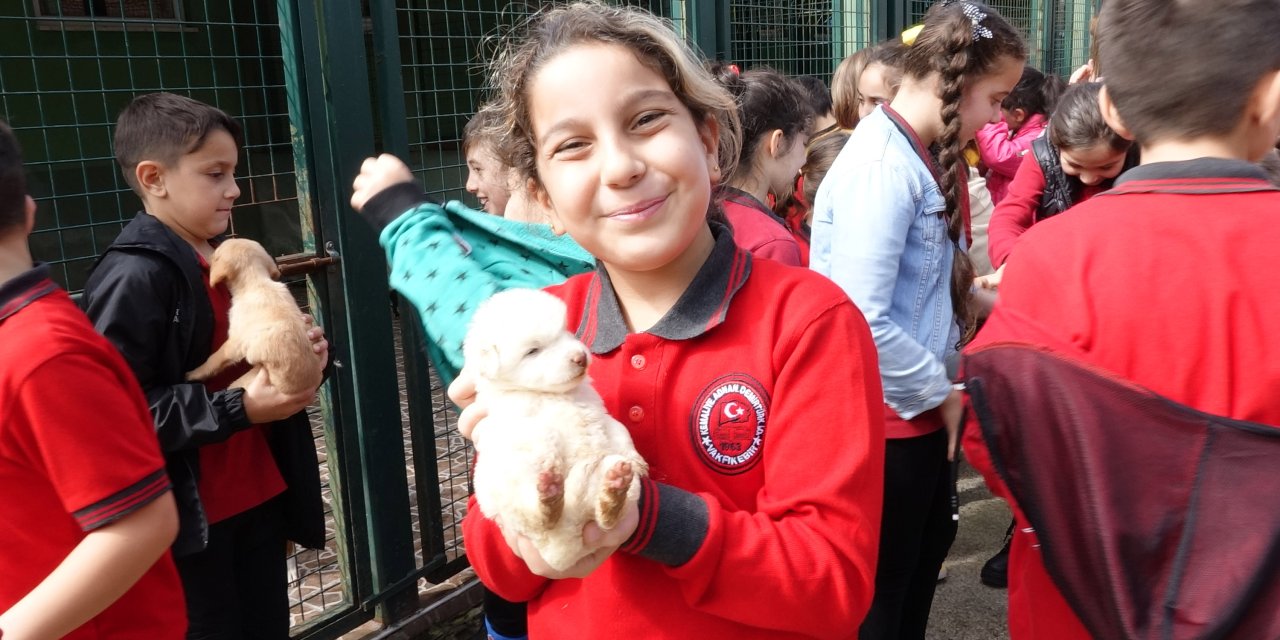 Trabzon’da İlköğretim Ve Ana Sınıfı Öğrencilerden Hayvan Barınağına Ziyaret
