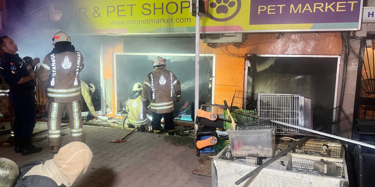 Maltepe'de Petshopta Yangın Çıktı