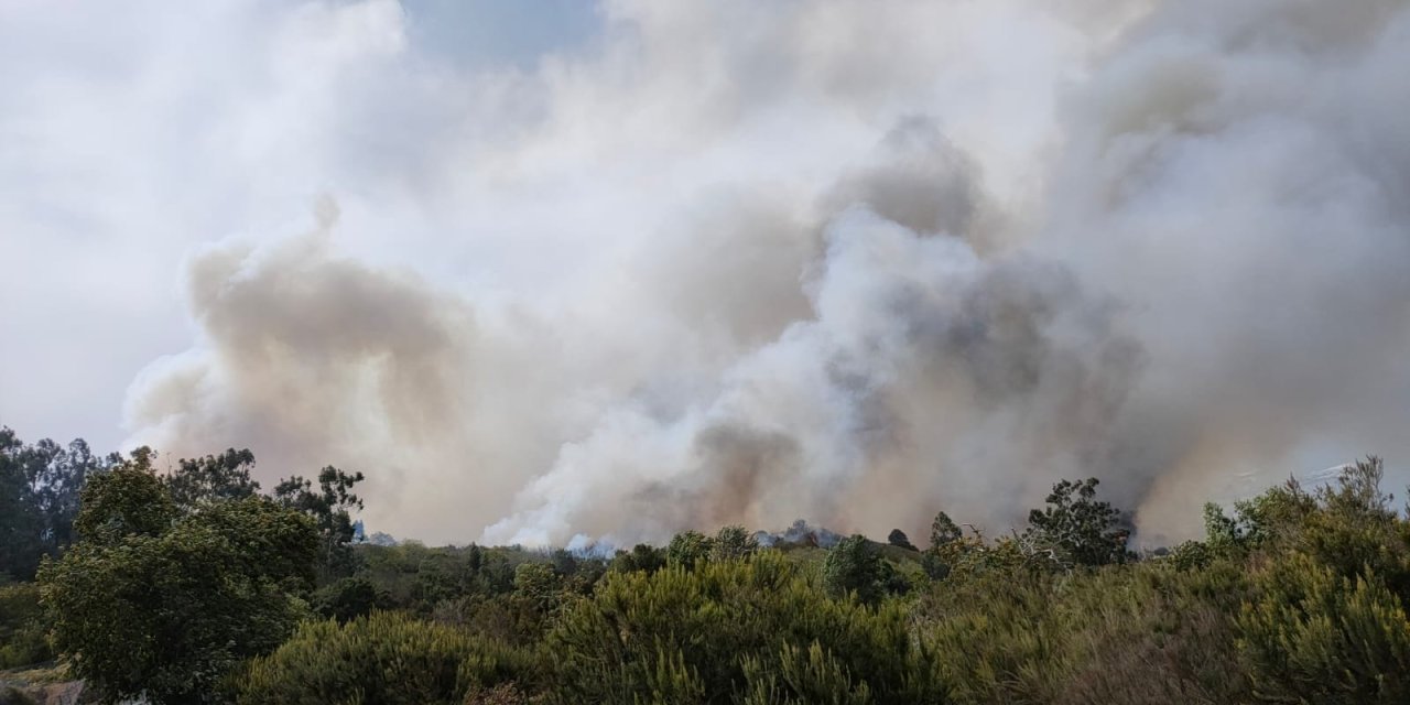 Kanarya Adaları’nda Yangın: 3 Bin Sivil Tahliye Edildi