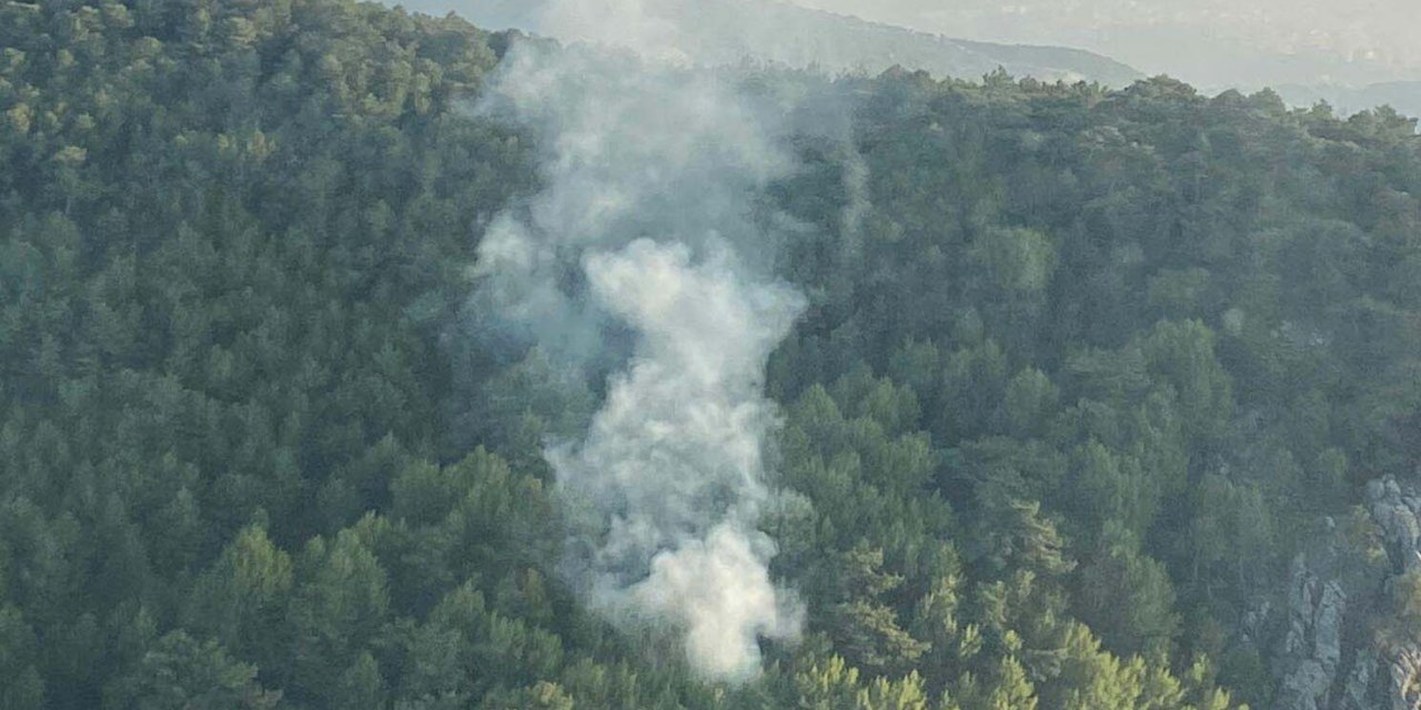 İzmir'de Orman Yangını 1 Saatte Kontrol Altına Alındı