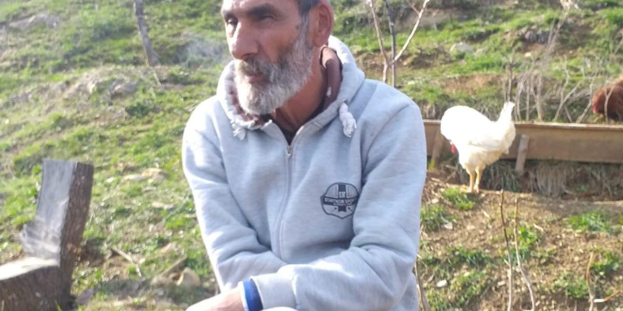 Ceviz Toplamak İçin Çıktığı Ağacından Düşüp Öldü