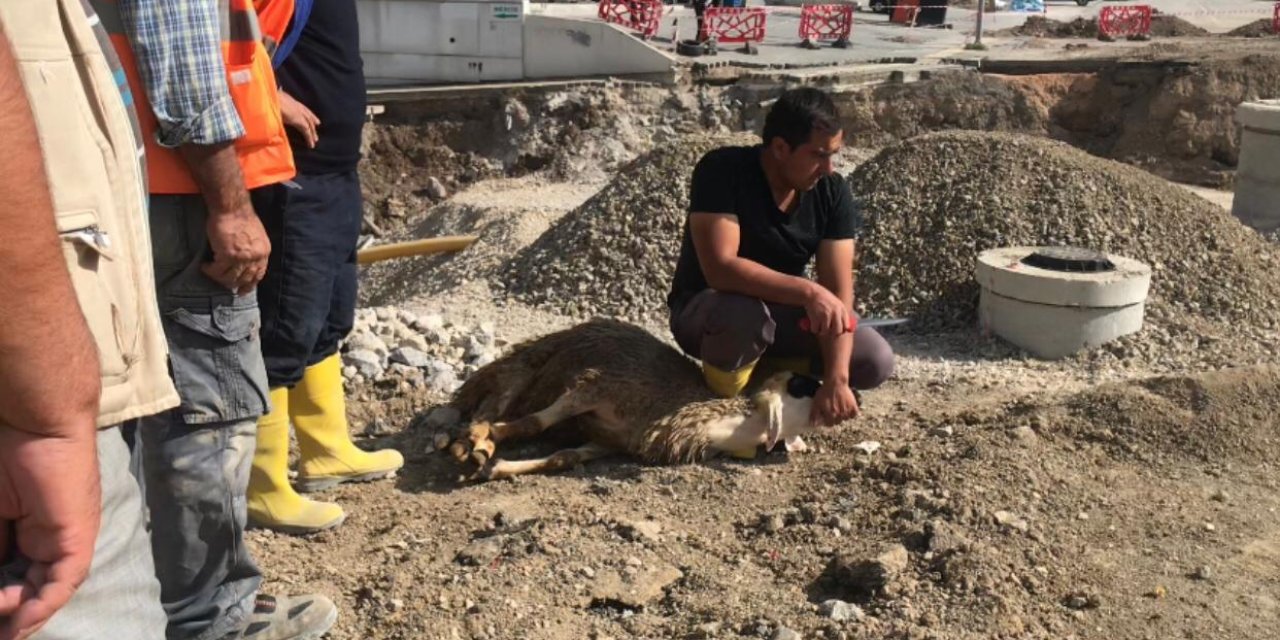 Ankara'da Toprak Kayması Nedeniyle Otopark Çöktü; 'Kayıp Yok' Diye Kurban Kestiler