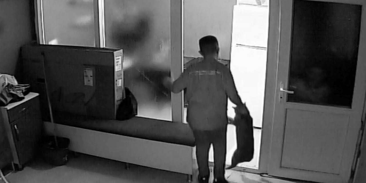 Kuaför Çırağı, İş Yeri Sahibinin Kedisini Darbetti; O Anlar Kamerada