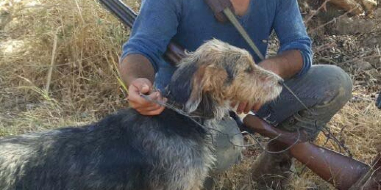 Motosikleti Devrilen Avcı, Tüfeğinin Ateş Almasıyla Öldü