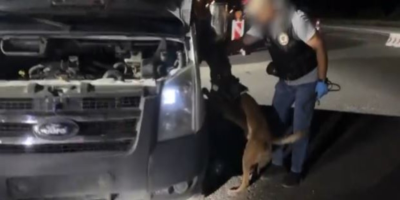 Minibüste, 24 Kilo Skunk Ele Geçirildi