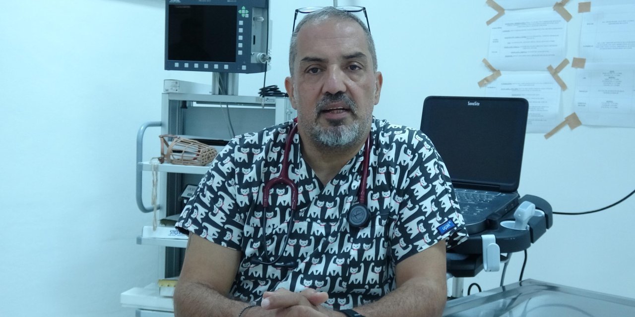 Prof. Dr. Uzlu: Koronavirüsün Kedilerde Görülme Oranı Yüzde 90'a Yükseldi